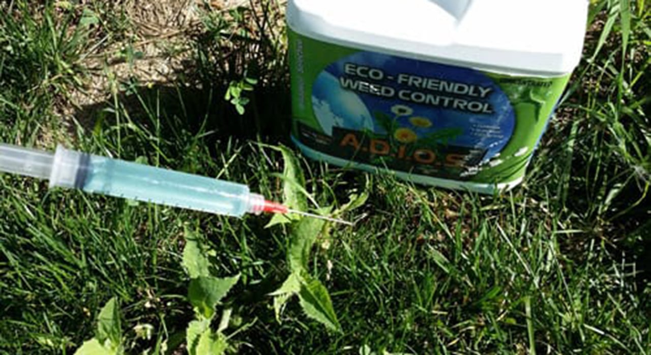 Adios Organic Weed Control Good Nature Thistle