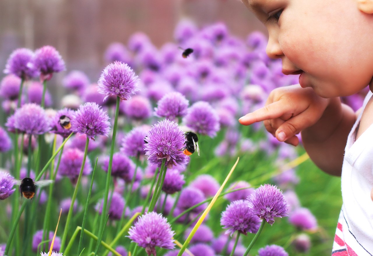 Bee Child Flower