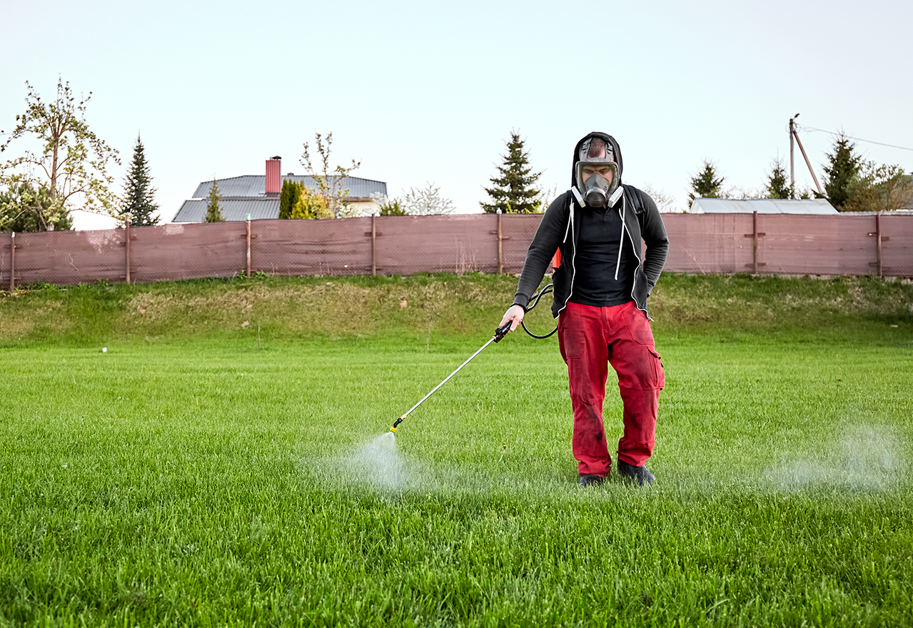 Chemical Insecticide Spray Man Yard