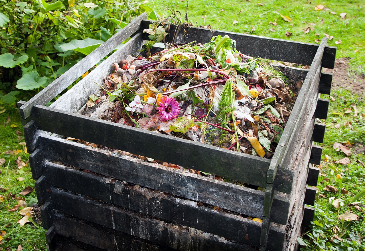 Compost Bin Garden