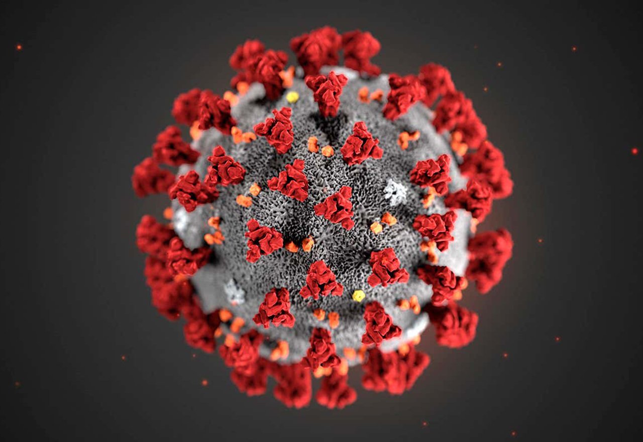 Covid19Virus