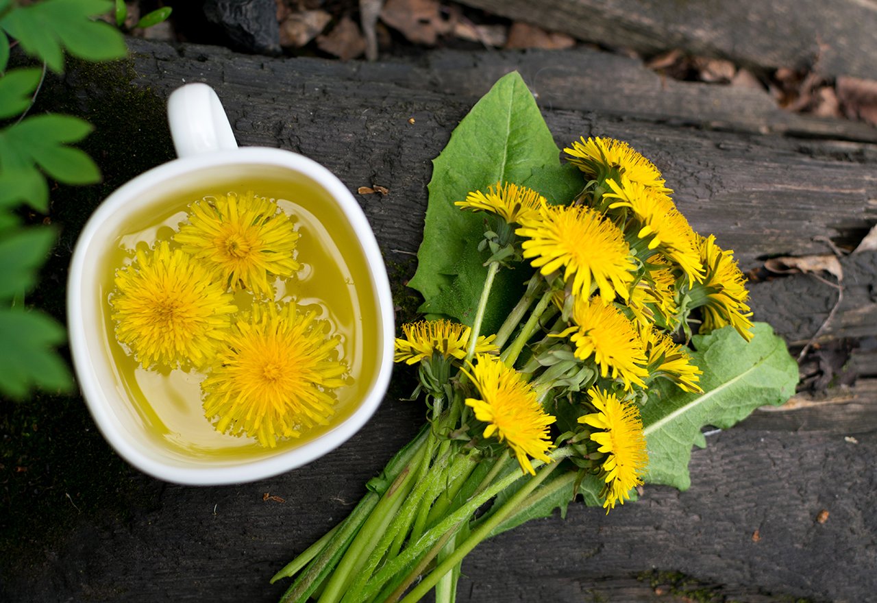 Dandelion Tea