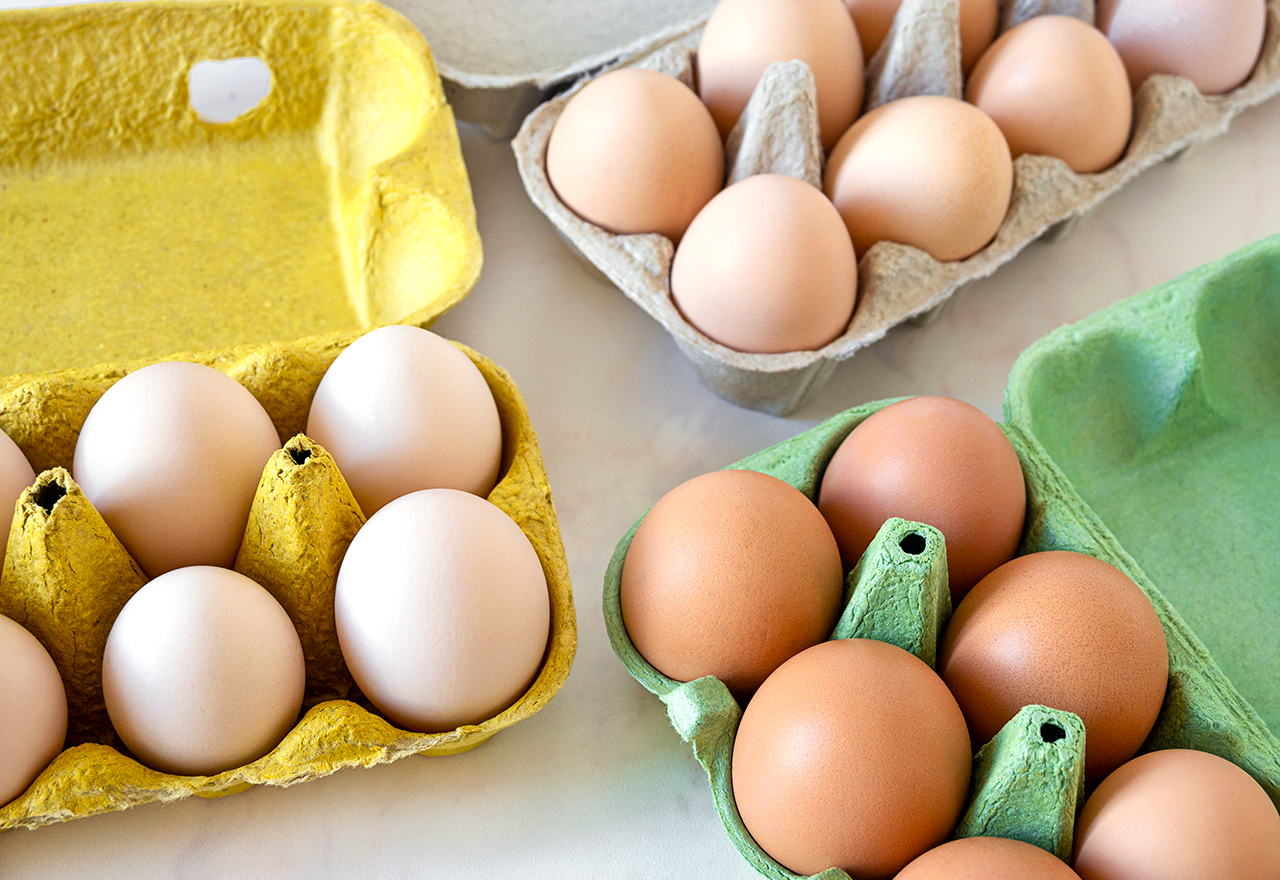 Eggs Carton Different Colors