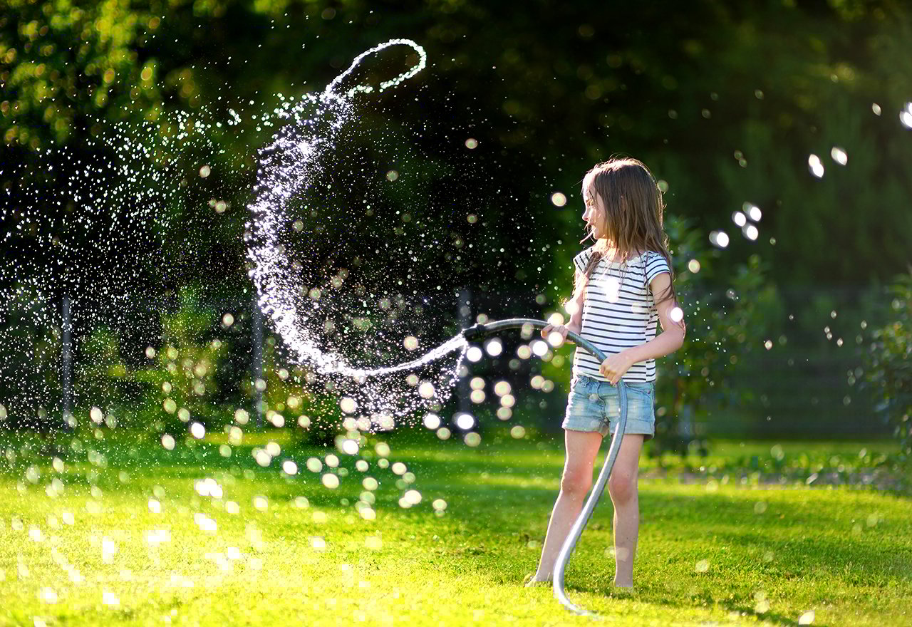 Important Tips on Watering Newly Seeded Lawn