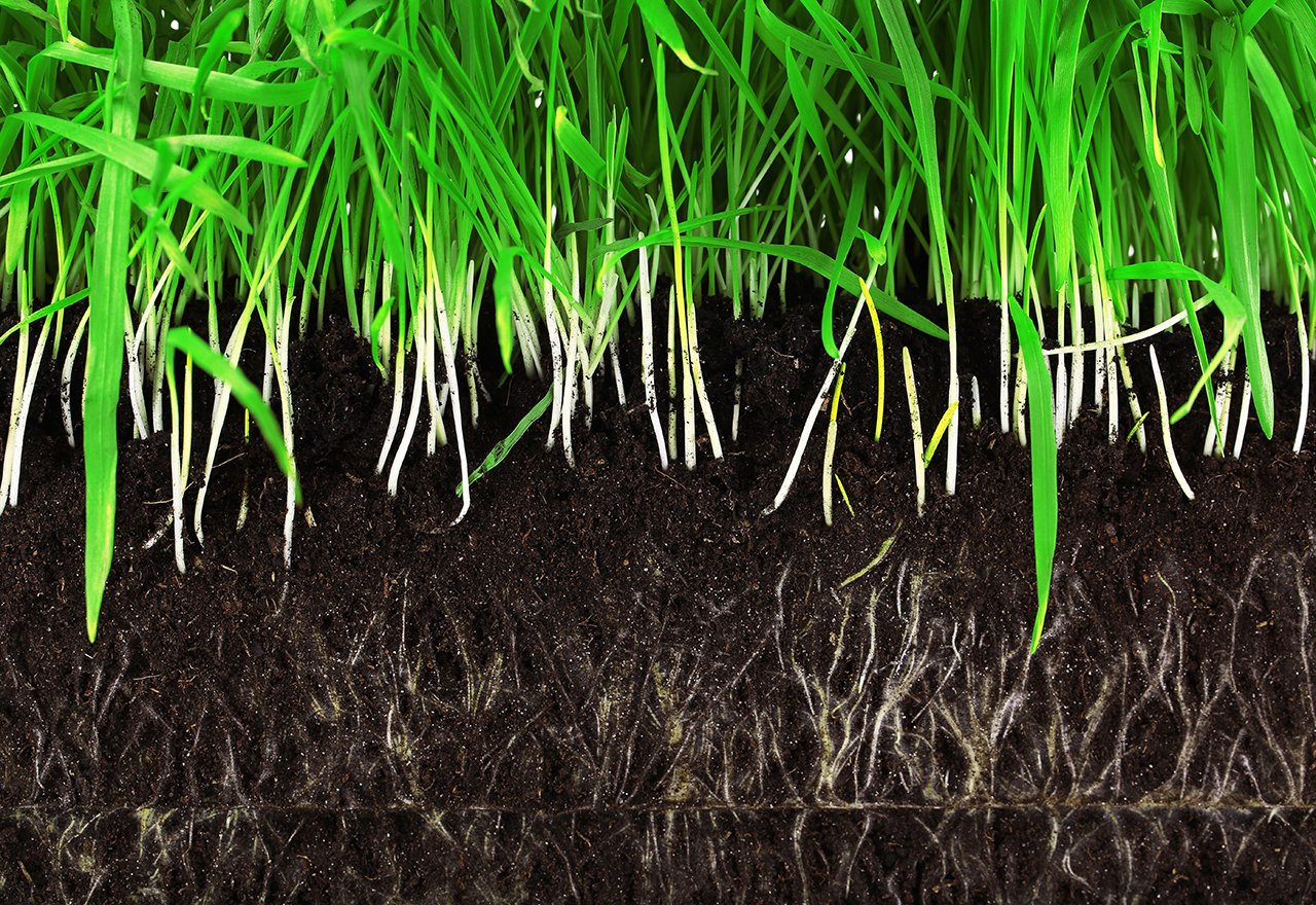 Grass Roots Liquid Aeration