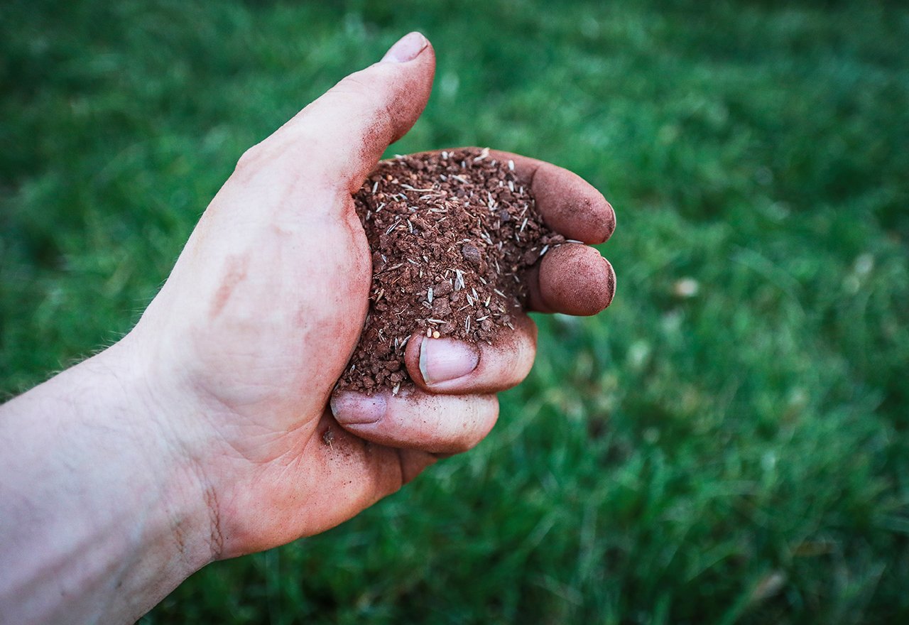 Hand Grass Seed