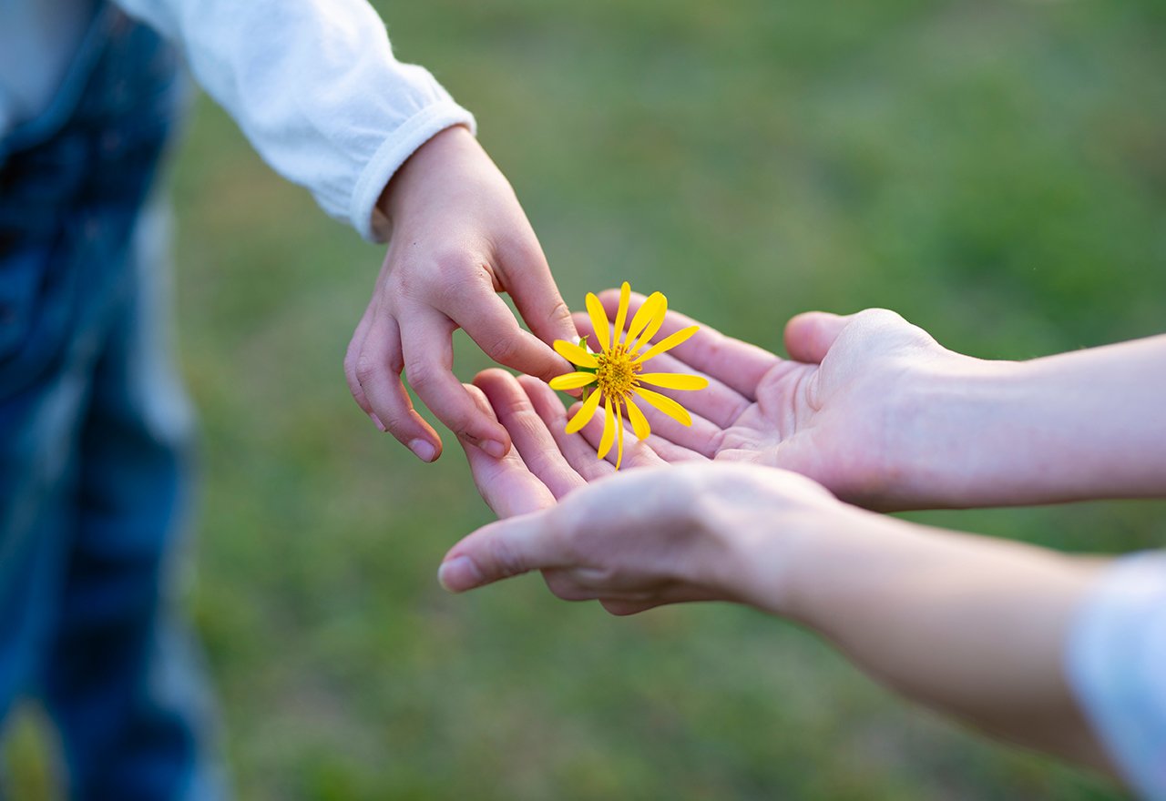 Hands Yellow Flower