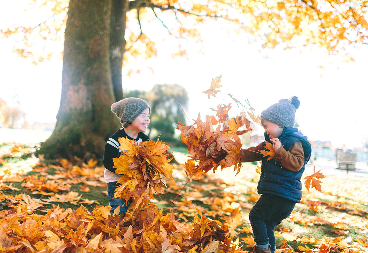 Kids Fall Leaves Lawn