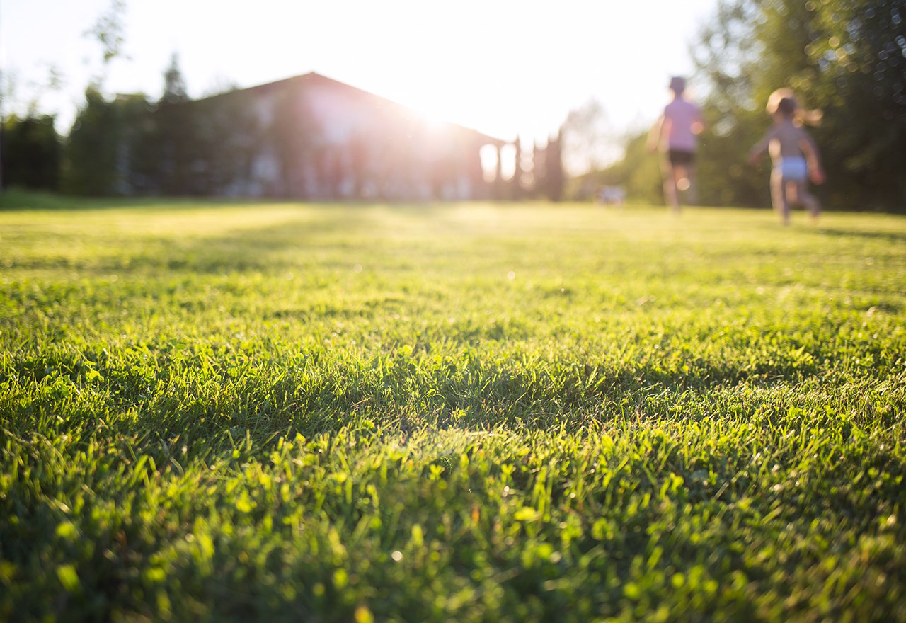 Kids Running Lawn Sunshine