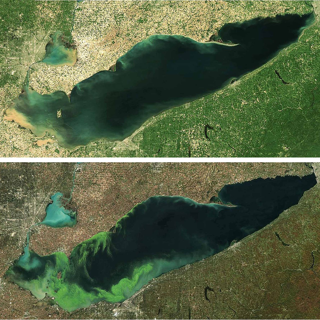 Lake Erie Algae Bloom Comparison