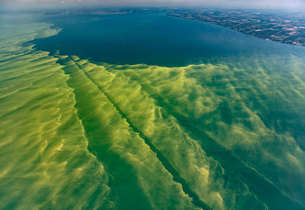 Lake Erie Algae Bloom