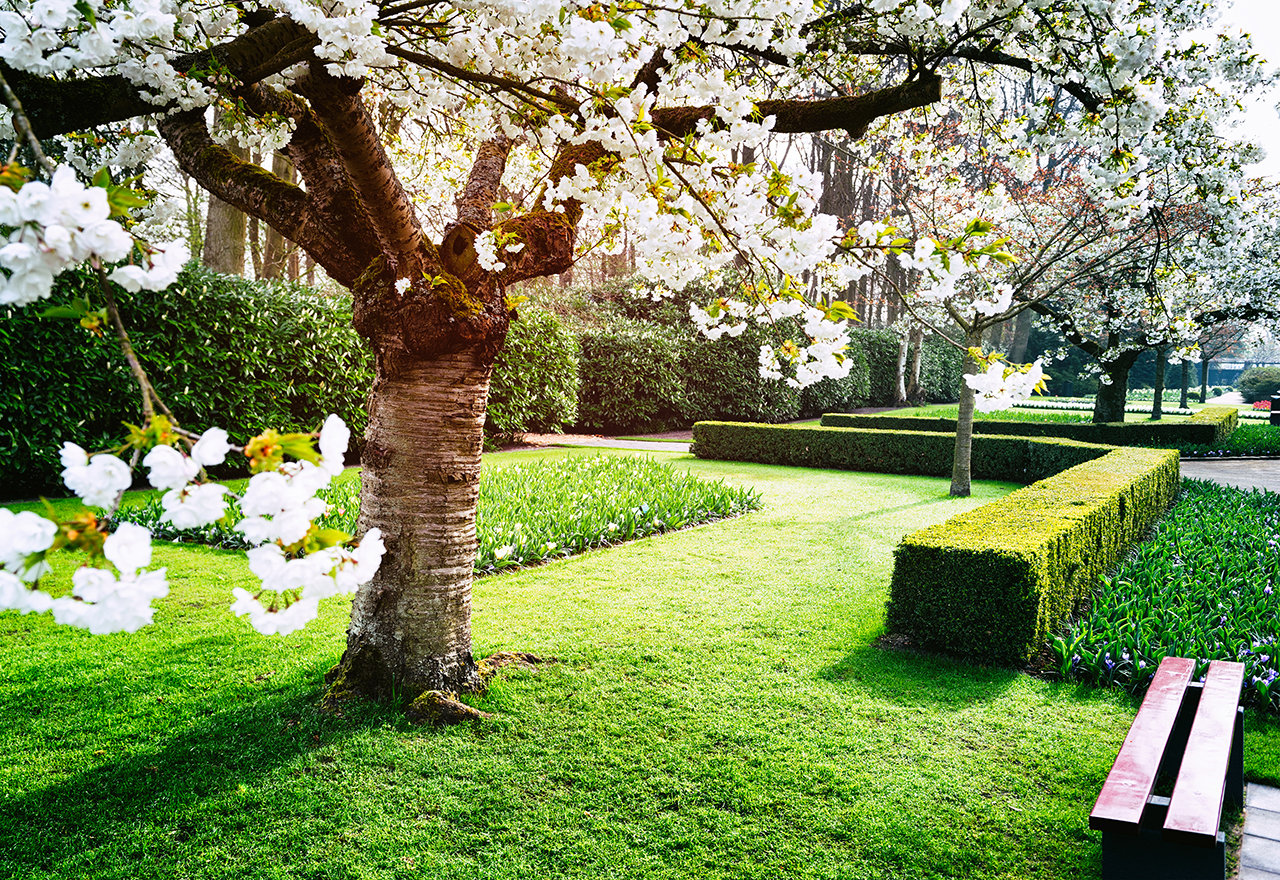 Landscaping Tree Bench