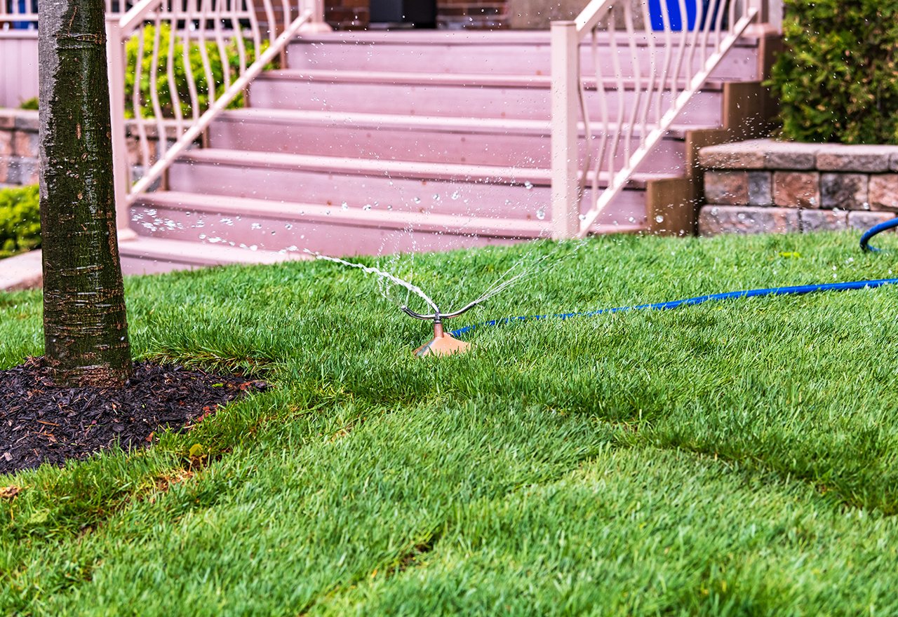 New Lawn Sod Seed Water Sprinkler