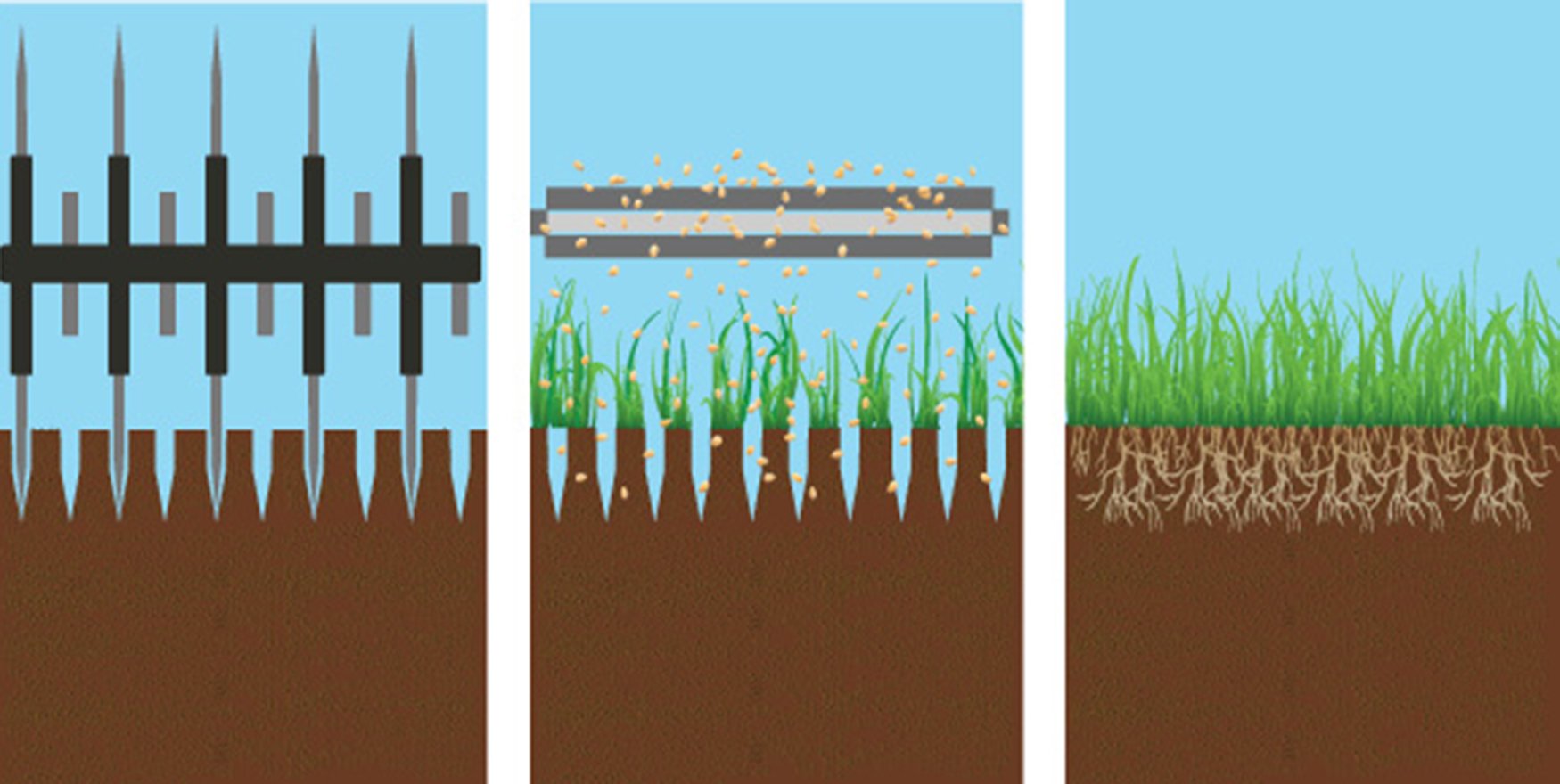 Slit Slice Seeding Illustration