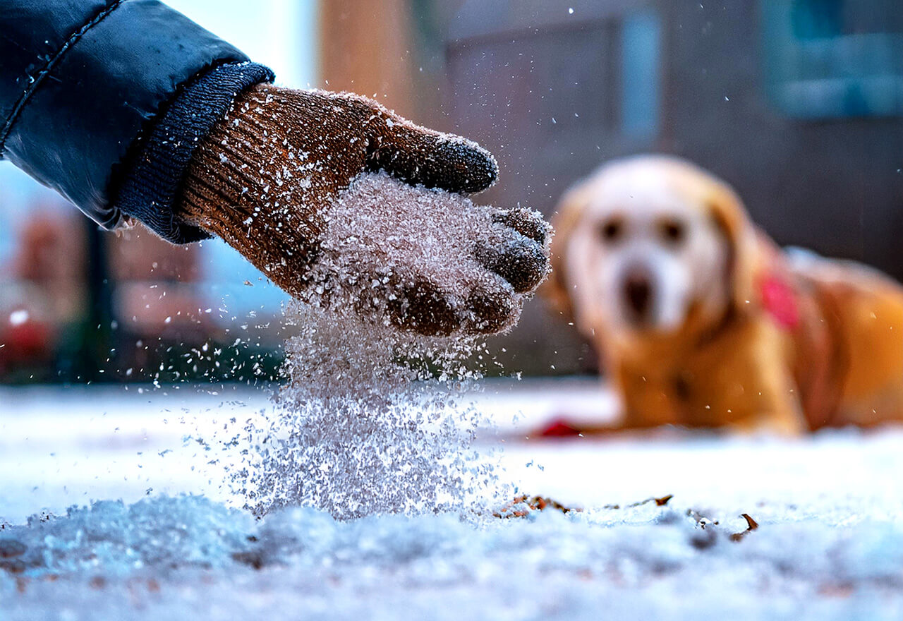 Snow Safe Ice Melt Dog Driveway Web