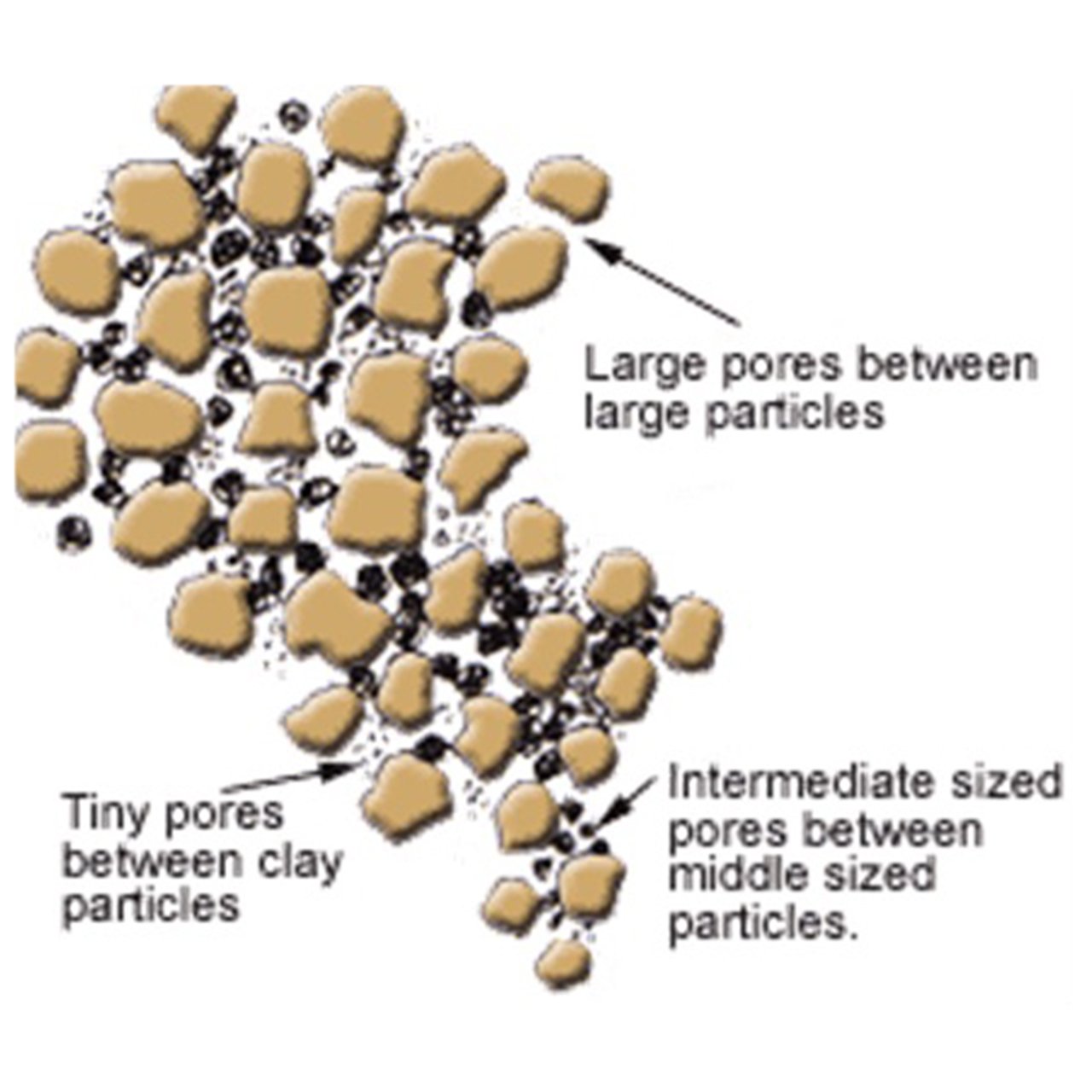 Soil Pores Grass Graphic