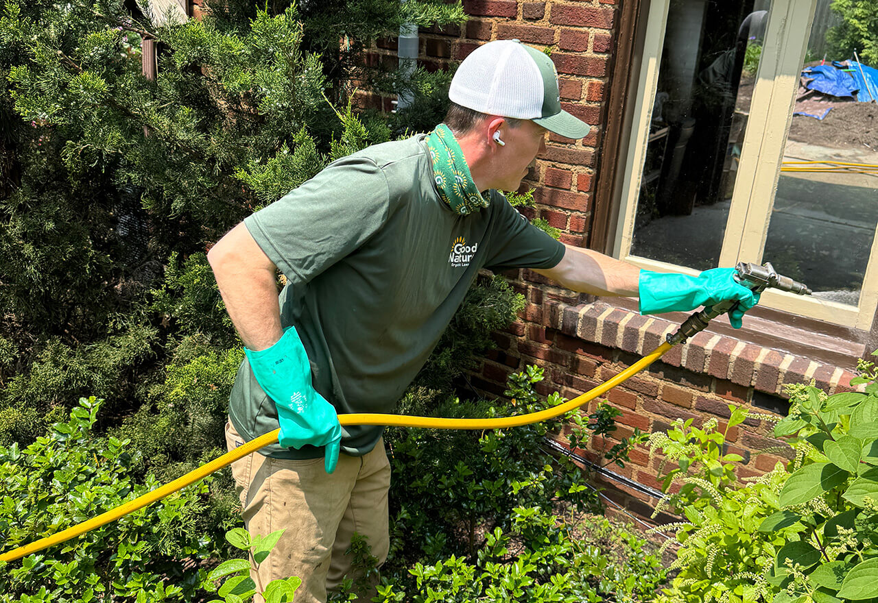 Technician Alex Spraying Window Home Web