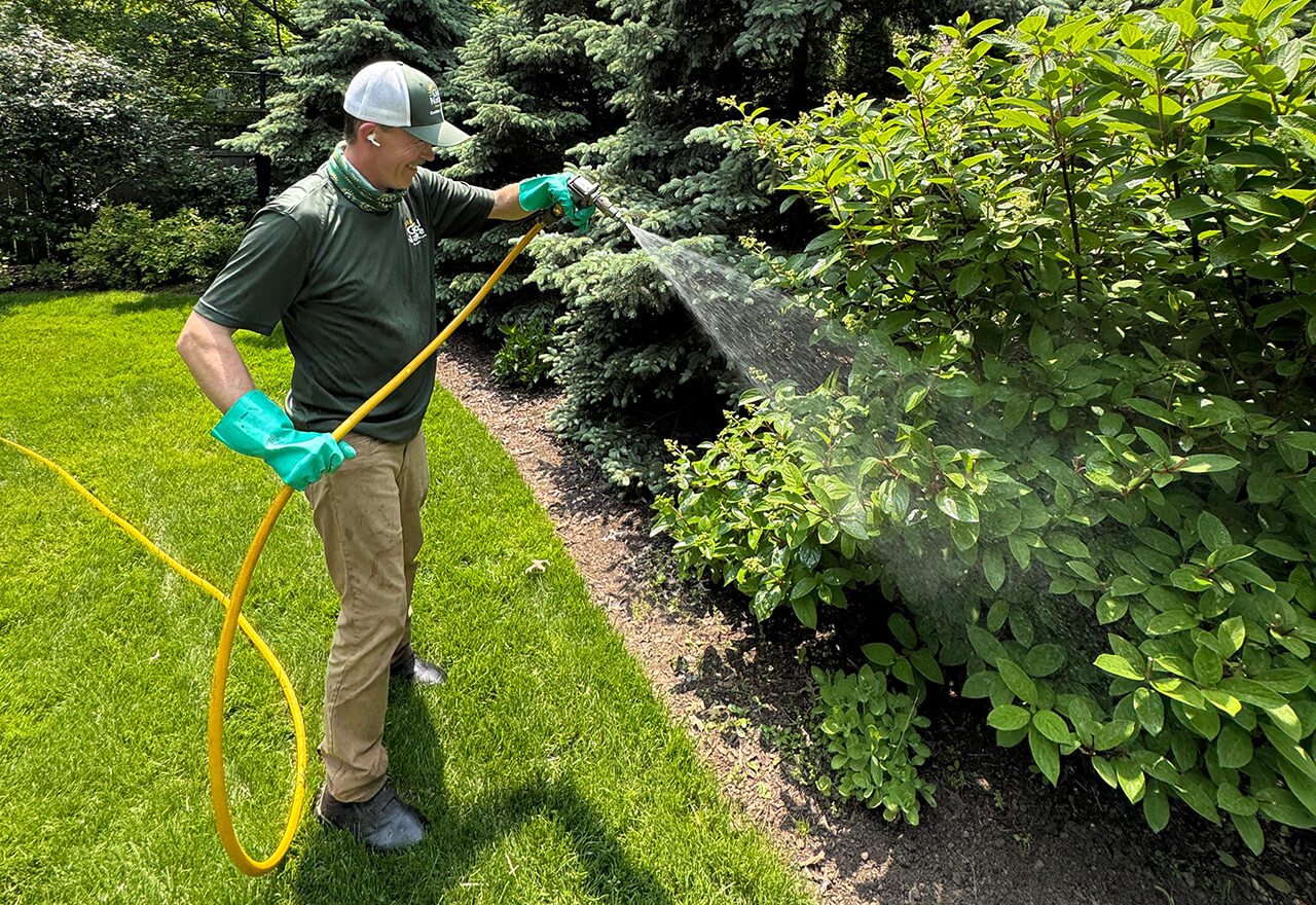 Technician Alex Yard Bug Barrier Spraying Bushes_Web