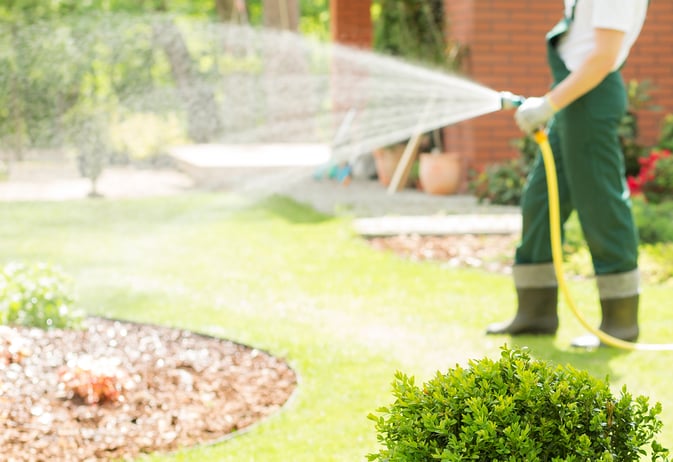 Technician Watering Lawn Hose