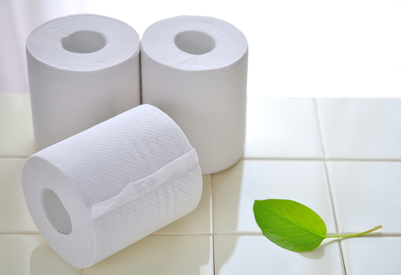 Toilet Paper Sustainable Options