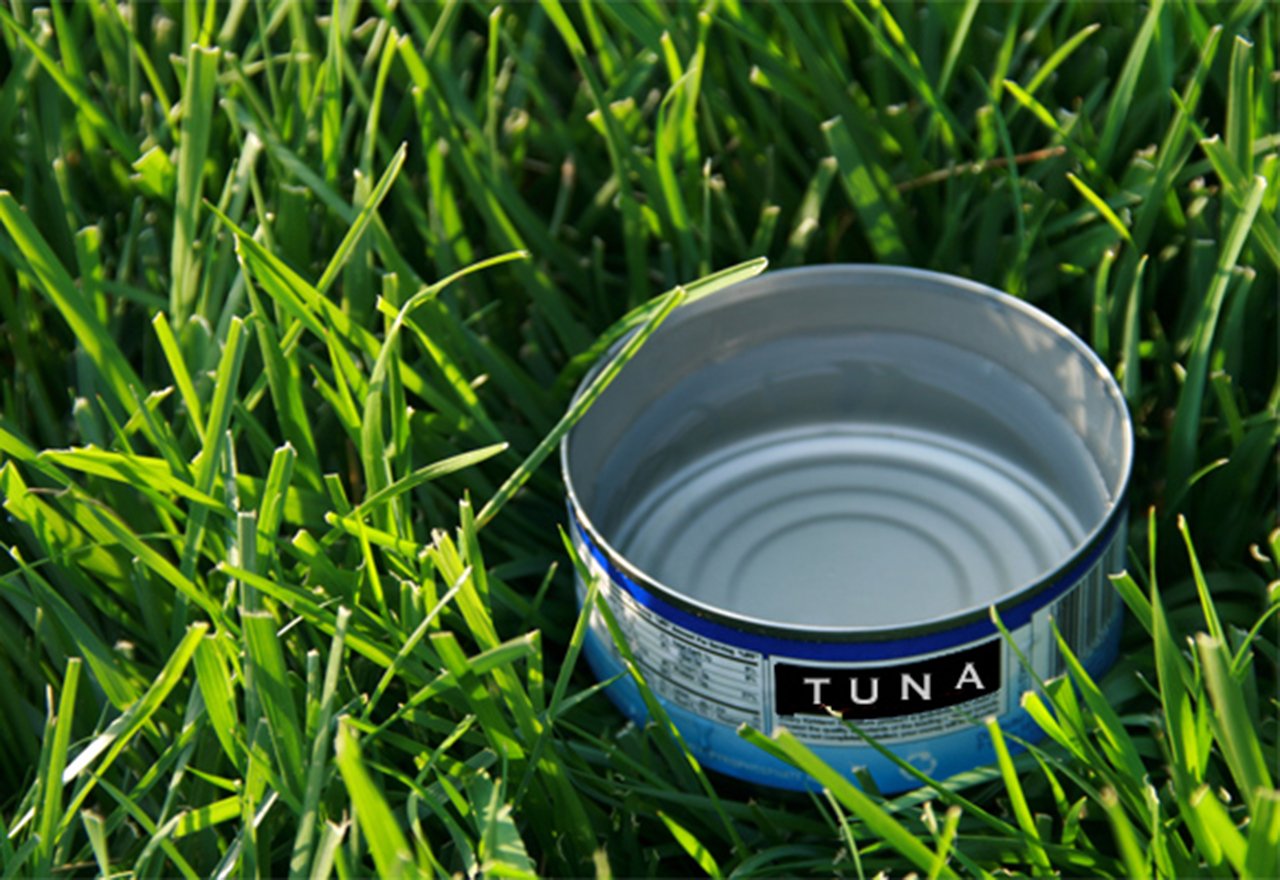 Water Tuna Can Sprinkler