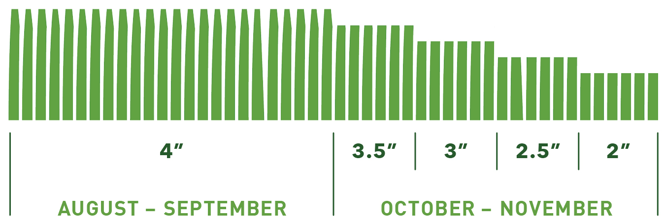 Winter Grass Mowing Height Graphic