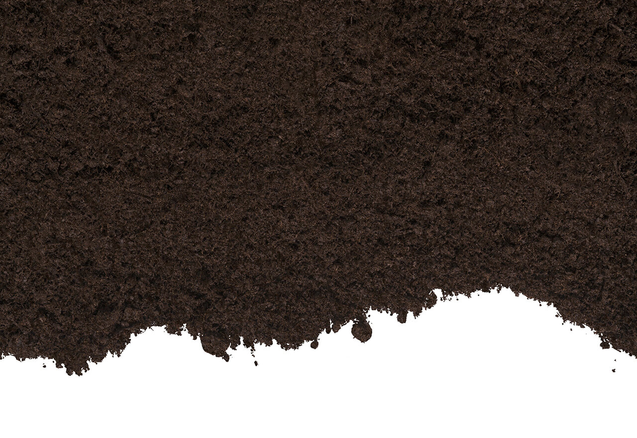 soil-2