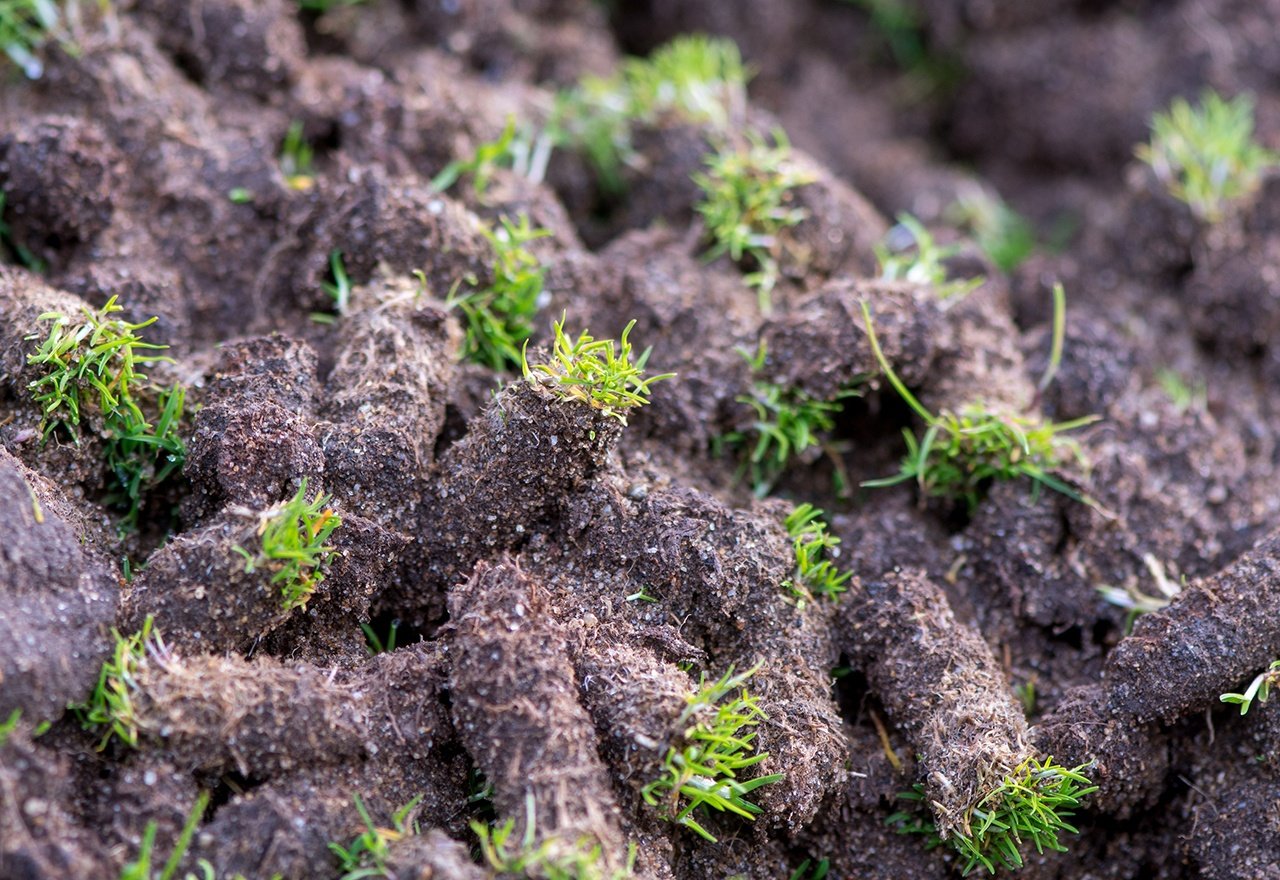 Compost Aeration