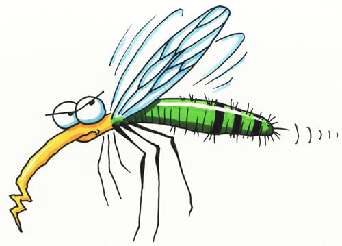 how to fight mosquitoes