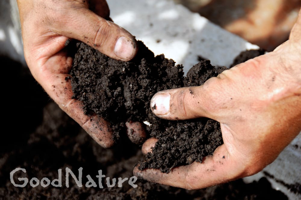 Improve Your Soil