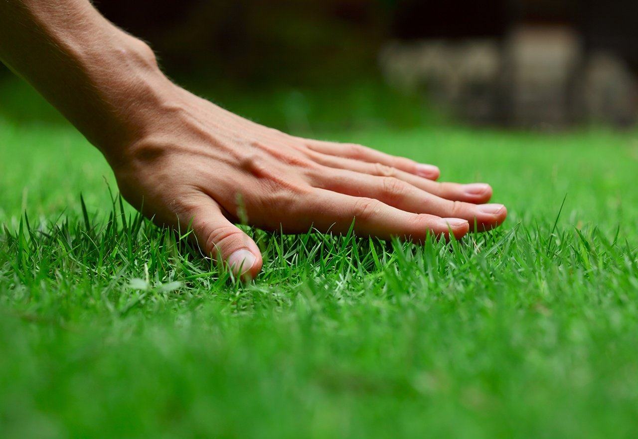 Grass Hand
