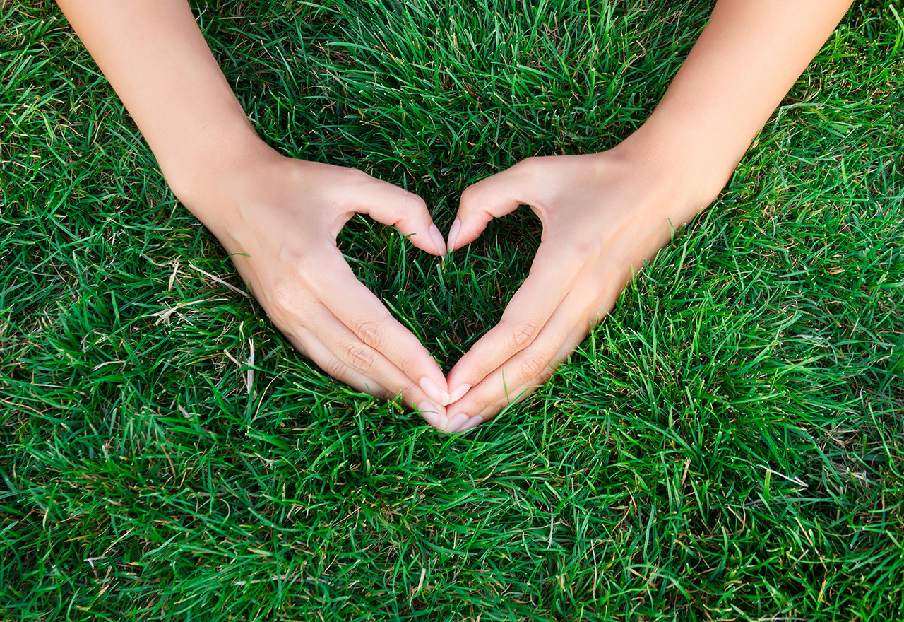 Grass Hands Heart