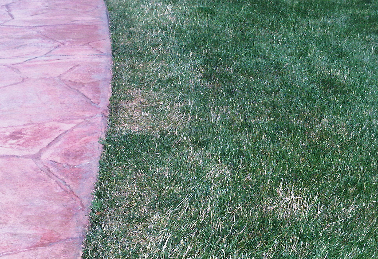 damaged lawn edging mistakes weed eater