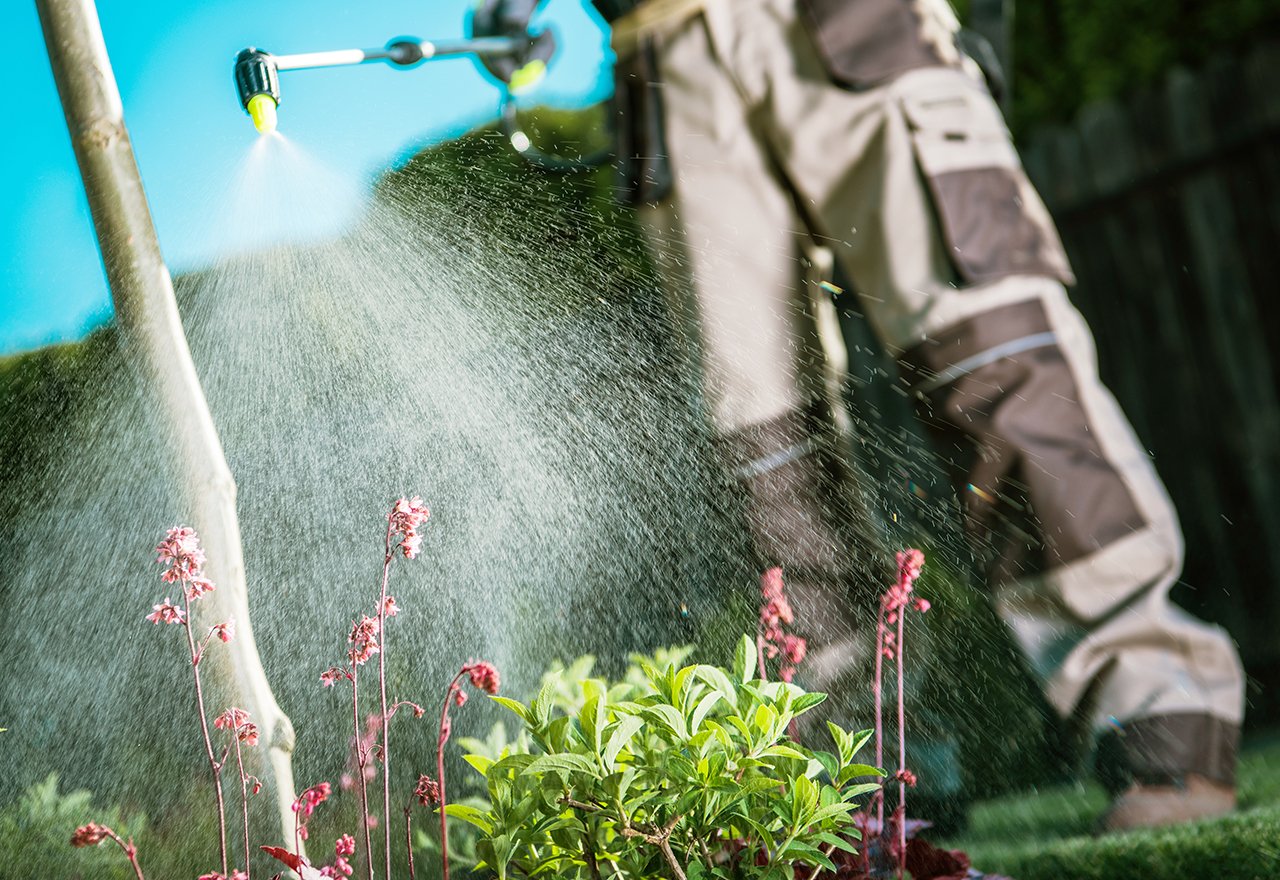Spraying Lawn Chemical