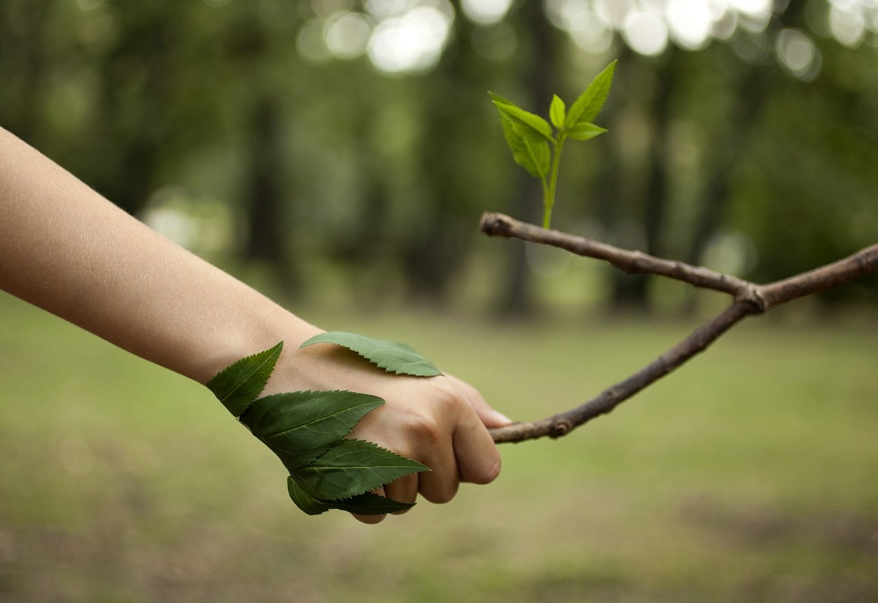 Tree Hand-1